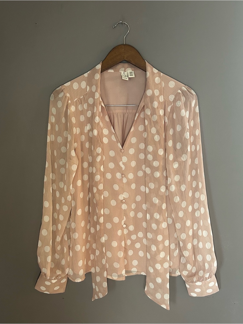 Joie Polka Dot Blouse Medium Sheer Pink Long Sleeve Button